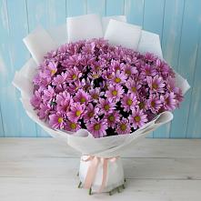 Букет цветов из:  Хризантемы #REPLACE_PRED# Дыгулыбгее