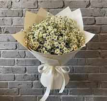 Букет цветов из:  Ромашки в Дыгулыбгее