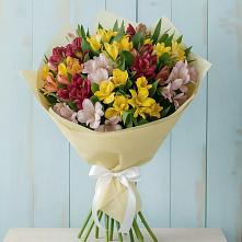 Букет цветов из:  Альстромерии в Дыгулыбгее