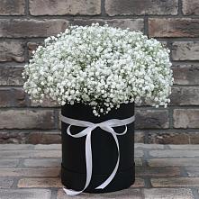 Цветочная композиция из Гипсофила в шляпной коробке #REPLACE_PRED# Дыгулыбгее