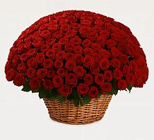 Премиум букет из: Розы в Дыгулыбгее