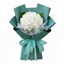 Букет цветов из:  Гортензия в Дыгулыбгее